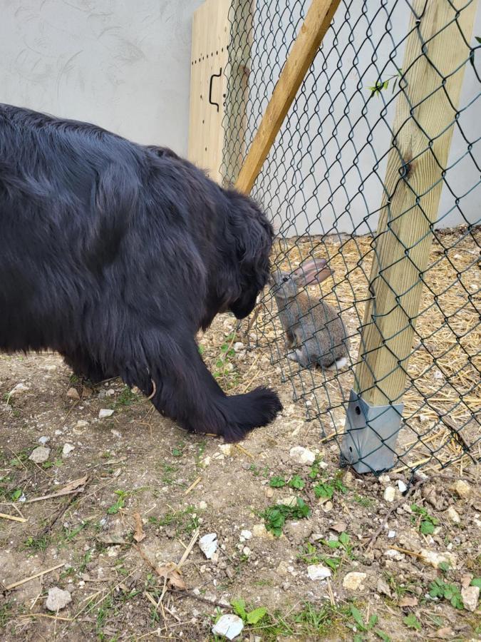 Gite De La Roulotte De L'Epine Dallon Εξωτερικό φωτογραφία